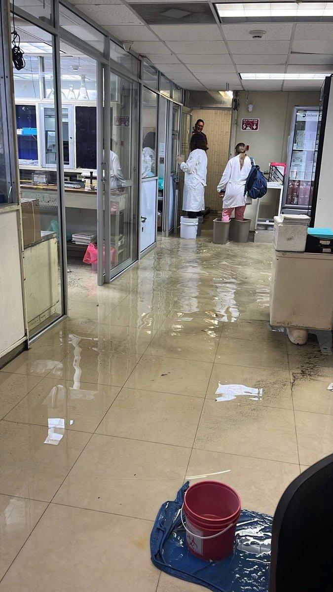 ManzanoBar's tweet photo. @ElChicoTimidooo @hdez_manzano Las inundaciones del bienestar...
😡🤬🤬🤬
#IMSSS  #Morena #SaludDelBienestar https://t.co/zDa6WCnmZt