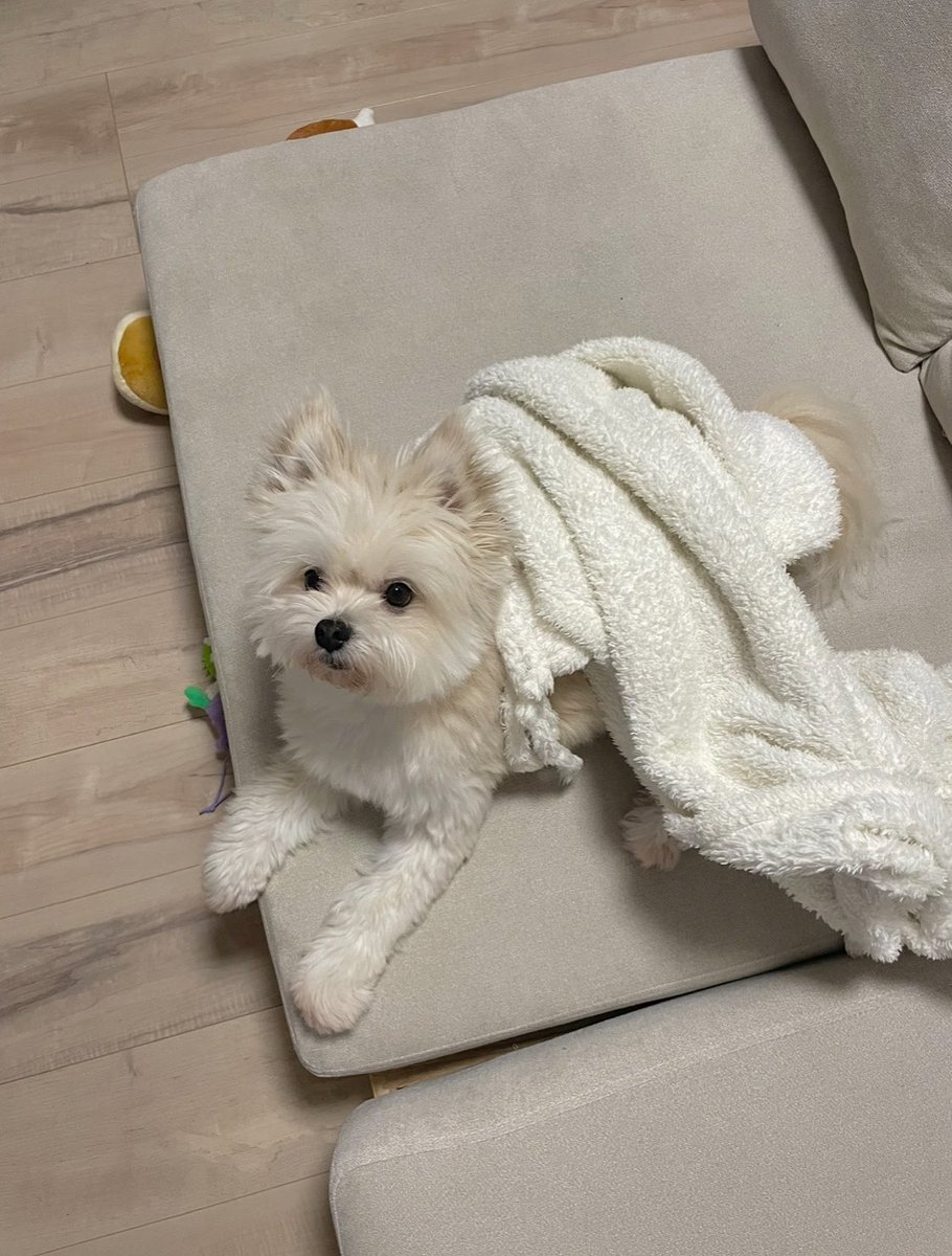 ぽんた (@p_190224) / Posts / X