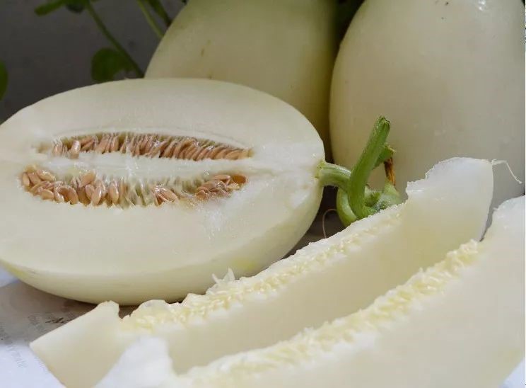 #Rugao #ChangjiangTown #JuneFruitSeason 🍉🍑🍈 Fragrant Happy Summer
Before cicadas peak, June in Changjiang Town, Rugao Jiangsu is already filled with fruit aromas! Watermelons, peaches, melons galore. Changqingsha watermelons are incredible - sandy soil + Yangtze moisture