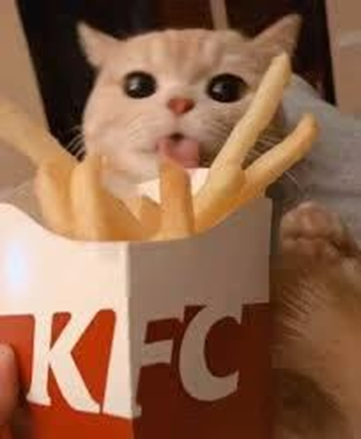 quieres papitas?