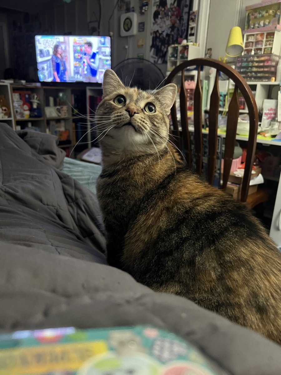 marble 🎱🐝 tweet media