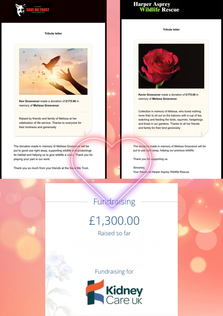 Kev Grosvenor tweet media