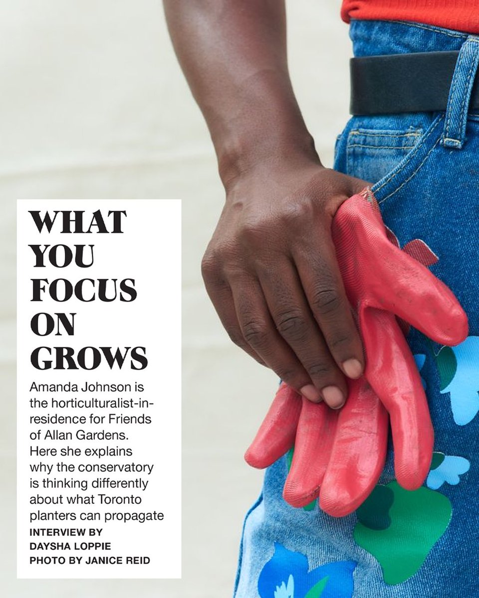 westendphoenix's tweet photo. WHAT YOU FOCUS ON GROWS

@TheBlackPlanter is the horticulturalist-in-residence at Allen Gardens. In the latest WEP, Daysha Loppie finds out why the conservatory is thinking differently about what Toronto planters can propagate.

Photos by Janice Reid 

https://t.co/TwbQA6bekv https://t.co/bkAUnwgISm