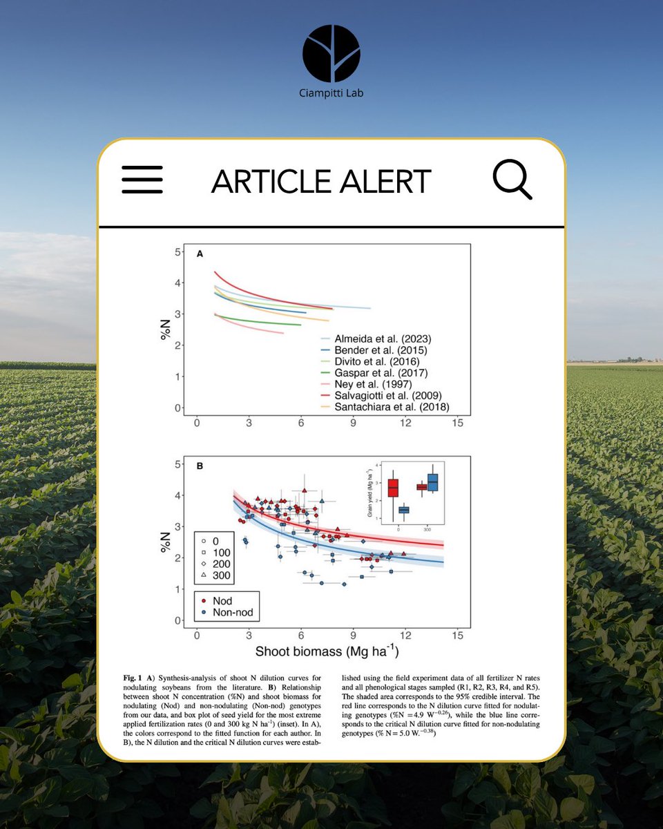 CiampittiLab's tweet image. 🚨#Articlealert
By isolating N sources through the use of non-nodulating soybean genotypes, we developed - for the first time - a true critical N dilution curve for soybeans, following the methodology previously established for non-N-fixing crops.
🔗link.springer.com/article/10.100…