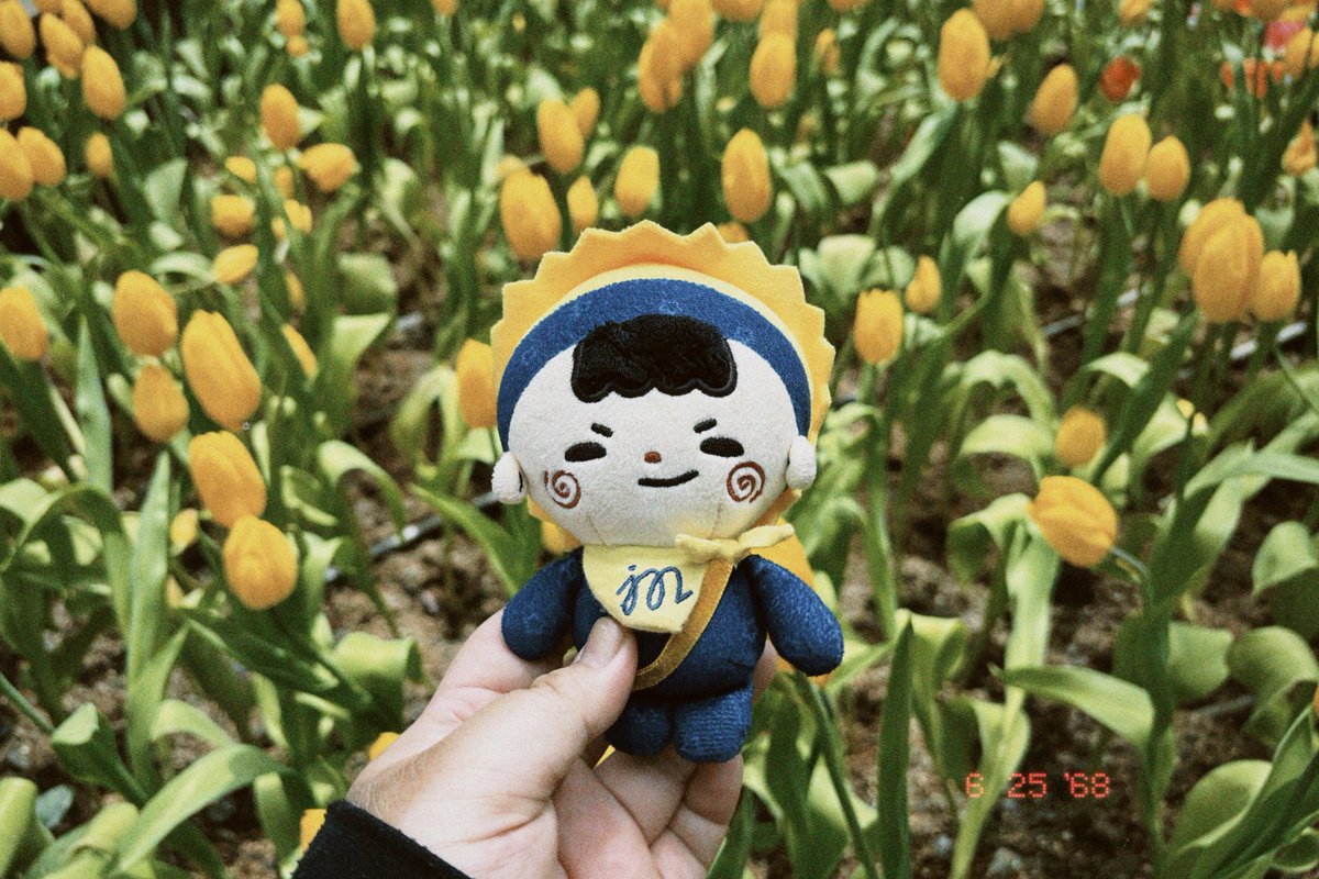 nncha___'s tweet photo. ✨ 25.06 🌷🌞❄️ https://t.co/KzRxtUdsvi