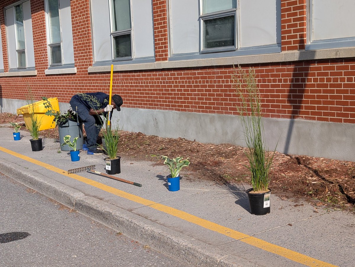 I had a vision for our front garden...   <a href="/strita_council/">St. Rita School Council</a> supported the vision and bought us some amazing plants and Mr. Patrick helped me make it a reality... Stay Tuned for the finish! ❤️❤️❤️ 🐝 Amazing