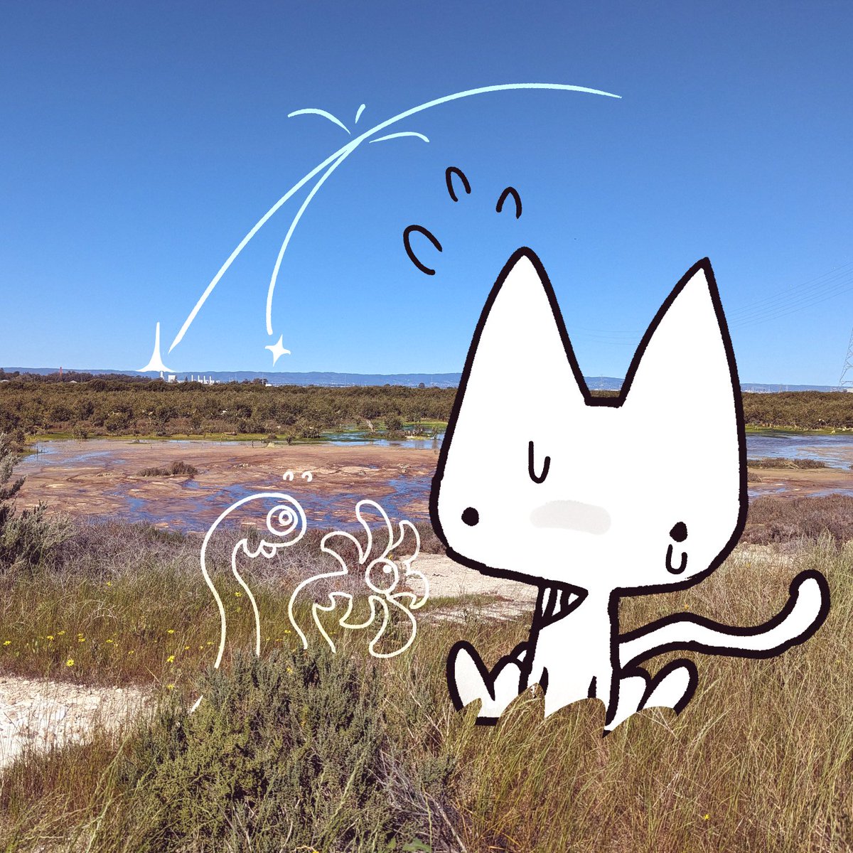 Suroki_'s tweet photo. Cat who cares https://t.co/8rR5qQVfhY