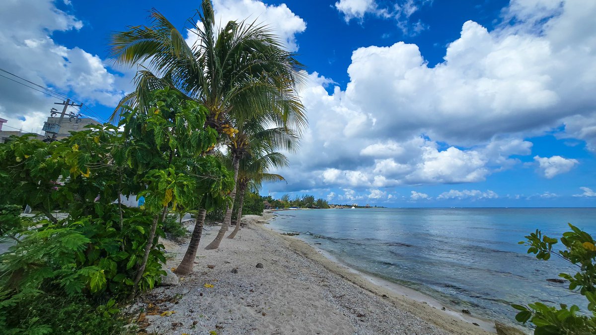 🏝️✨ Desde #Cozumel les comparto cómo lucen hoy las playas en nuestra hermosa Isla de las Golondrinas. 

Arenas limpias, aguas cristalinas y libres de sargazo, listas para recibir a miles de visitantes y cruceristas. 🚢🌊

Recuerden que #NiTodosLosDíasNiEnTodasLasPlayas hay