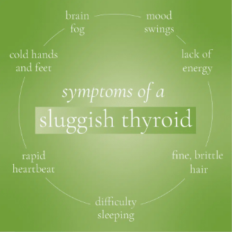 KristenJakobitz's tweet photo. Lacking energy? Sudden weight gain? Feeling cold all the time? These could be signs your #thyroid is sluggish.

#Hypothyroidism is when your thyroid gland doesn’t make and release enough hormone into your bloodstream. The condition slows down your #metabolism, which may make you gain weight unexpectedly or feel tired all the time. 

Hypothyroidism can affect anyone. It's most common among females over age 60, particularly after #menopause.