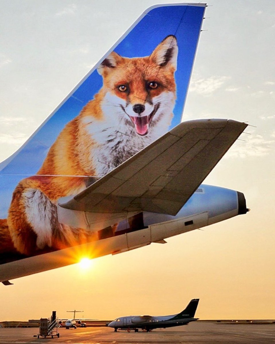 Frontier Airlines tweet media