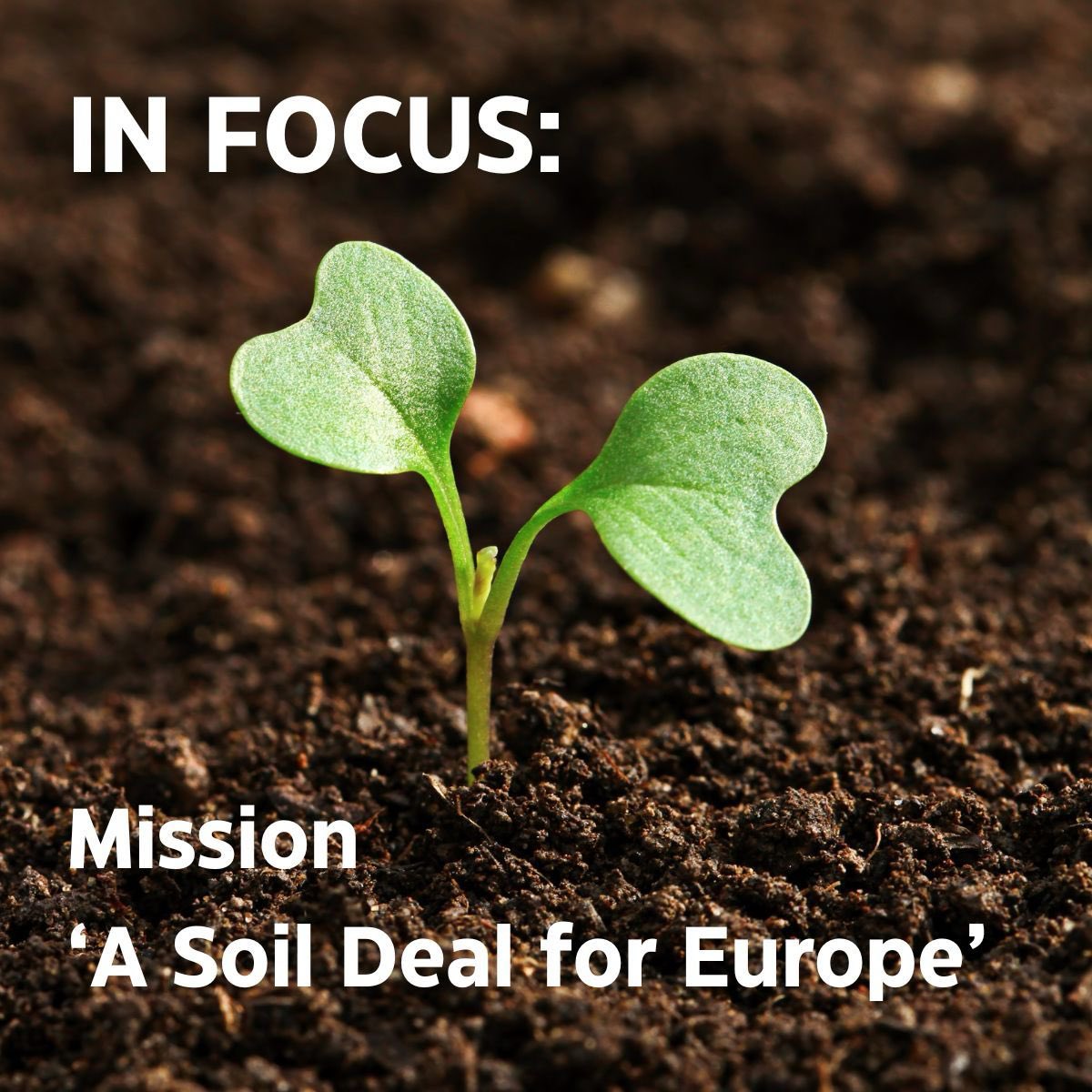 @EuraxessASEAN (@euraxessasean) on Twitter photo ๐ฑ Healthy soils = healthy planet.
In our final #MissionRoundup, we spotlight the EU Mission: A Soil Deal for Europe โ aiming to restore soils, cut chemical inputs & build 100 Living Labs by 2030.
Read more ๐ tinyurl.com/5bpeyujv
#HorizonEU
#Sustainability ๐ฑ Healthy soils = healthy planet.
In our final #MissionRoundup, we spotlight the EU Mission: A Soil Deal for Europe โ aiming to restore soils, cut chemical inputs & build 100 Living Labs by 2030.
Read more ๐ tinyurl.com/5bpeyujv
#HorizonEU
#Sustainability