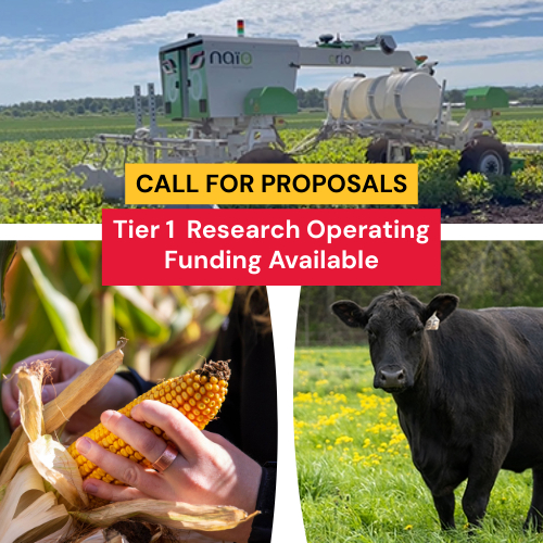 Ontario Agri-Food Innovation Alliance (@aginnovationon) on Twitter photo 📢 #UofG agri-food researchers 📢 Call for proposals for Alliance Tier 1 research operating funding is now open! Join the town hall session TODAY to have your questions answered. Click for full details ➡️ uoguel.ph/5lhgj
<a href="/UofGResearch/">UofGResearch</a> 📢 #UofG agri-food researchers 📢 Call for proposals for Alliance Tier 1 research operating funding is now open! Join the town hall session TODAY to have your questions answered. Click for full details ➡️ uoguel.ph/5lhgj
<a href="/UofGResearch/">UofGResearch</a>