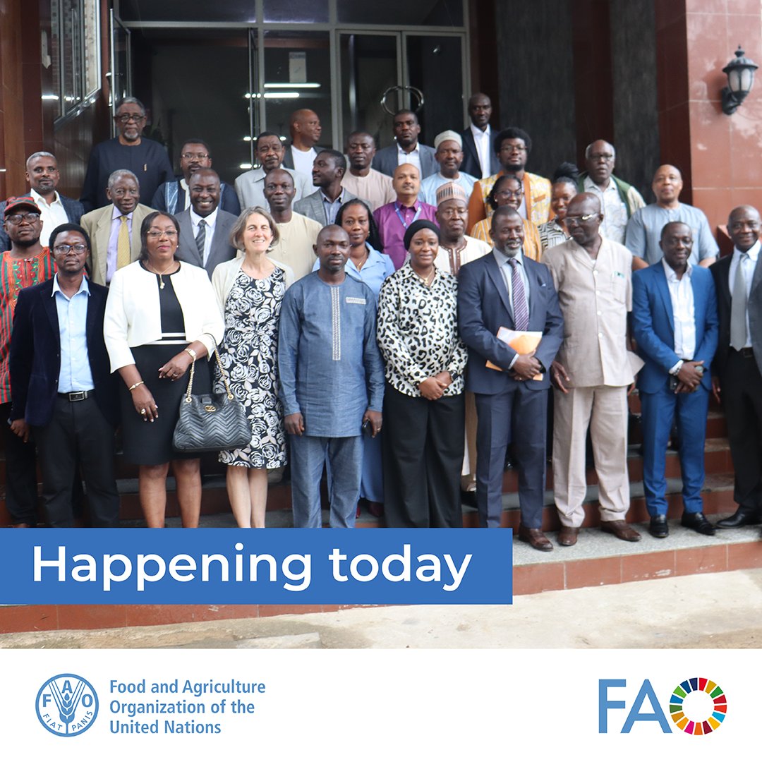 #HappeningNow | Cross-border harmonisation in the Mano River region (C. d’Ivoire, Guinea, Liberia &amp; S. Leone) with emphasis on episystems &amp; resource mobilization for the eradication of PPR, bringing together CVOs, RECs, Civil societies, EpiLab networks, donors &amp; partners. 🐑🐐🤝