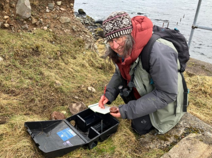 biosecurityLIFE's tweet image. #conservationdetectiondogs are just one way we safeguard our #seabirdislands read Caroles blog about surveillance checks in #shetland to find our more about the important role #volunteers play in protecting our seabirds biosecurityforlife.org.uk/blog/2024-05-0…