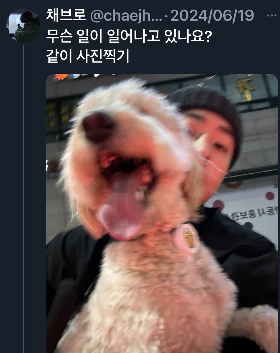 Chaest_SY's tweet photo. そういえば #Bro🐶くん元気かな?代々木のFMで話題出たかも覚えてないわ😂毎朝ご主人のヒョプくん起きるの待って、お散歩してもらってるのかなぁ❓結局センイル渡韓でこの公園行けてない😢 #CHAEst🌻 #Chaebro #ChaeJongHyeop #ブロくんとツーショット見たいな https://t.co/UoYV6IM8wO