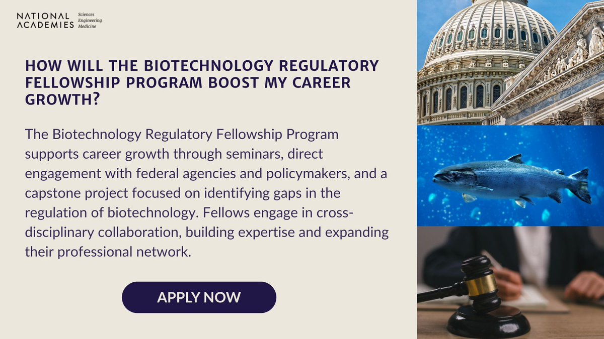 NASEM_BioRegFS's tweet image. FAQ Spotlight: Fellows gain direct experience with federal agencies, engage in policy-focused seminars, and complete a capstone project on the regulation of a novel product of biotechnology.
Details: ow.ly/IuCo50WamhX
#BiotechnologyFellowship #PolicyCareers #CareerGrowth