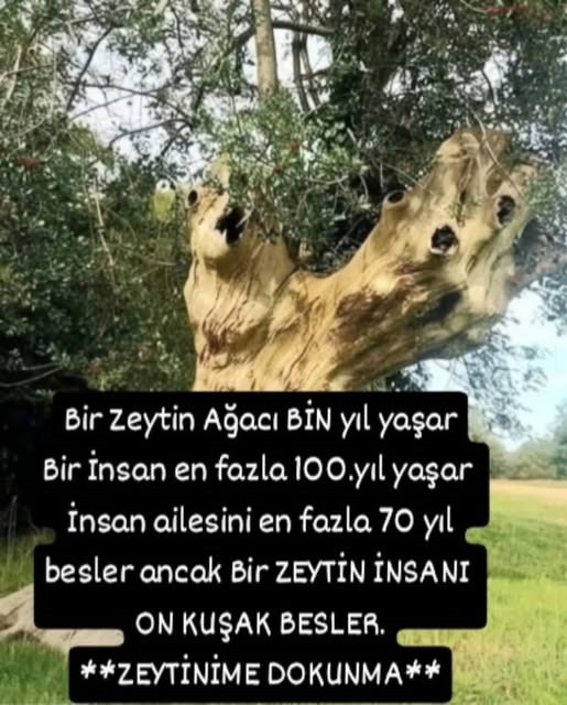 Belgn72's tweet photo. https://t.co/NBtBDCdvnu