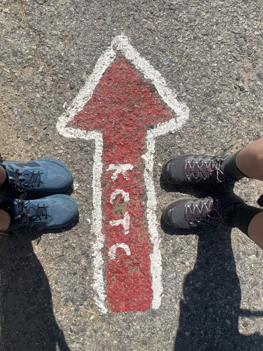 Nensi Coseani tweet media