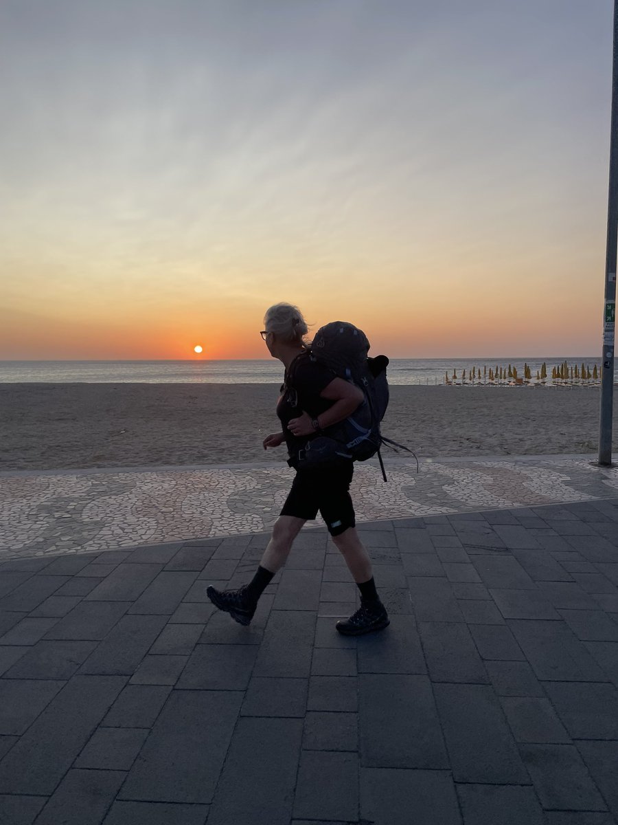 Nensi Coseani tweet media