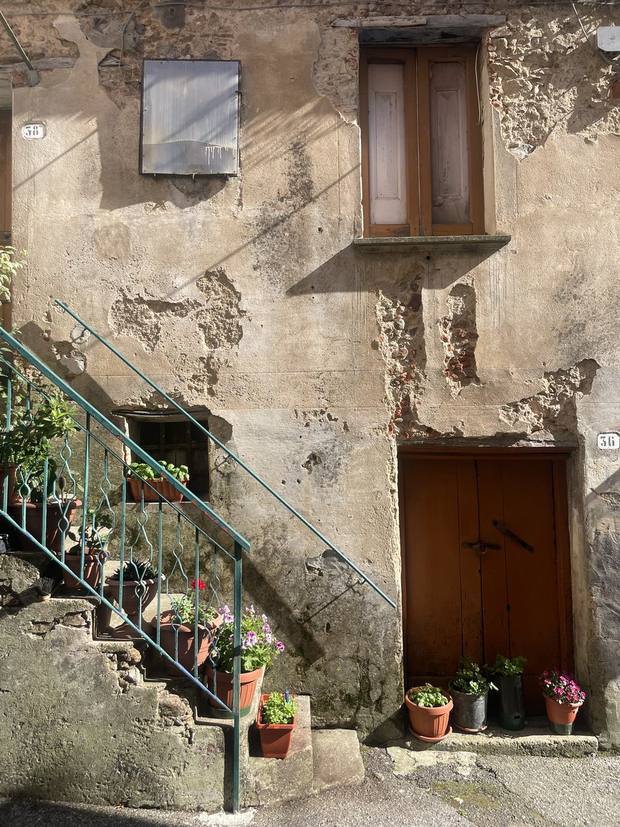 Nensi Coseani tweet media