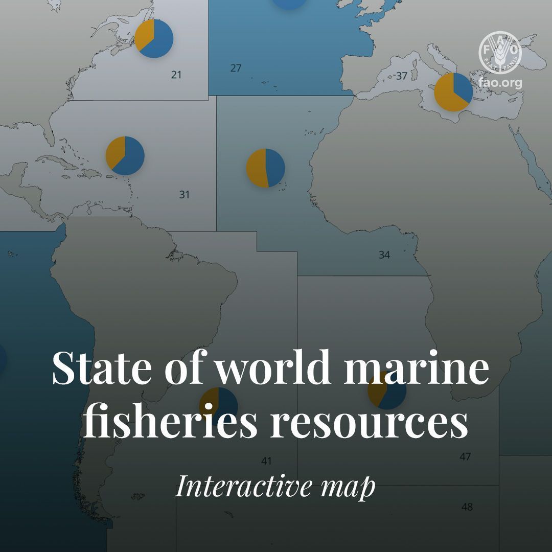 Fisheries & Aquaculture tweet media