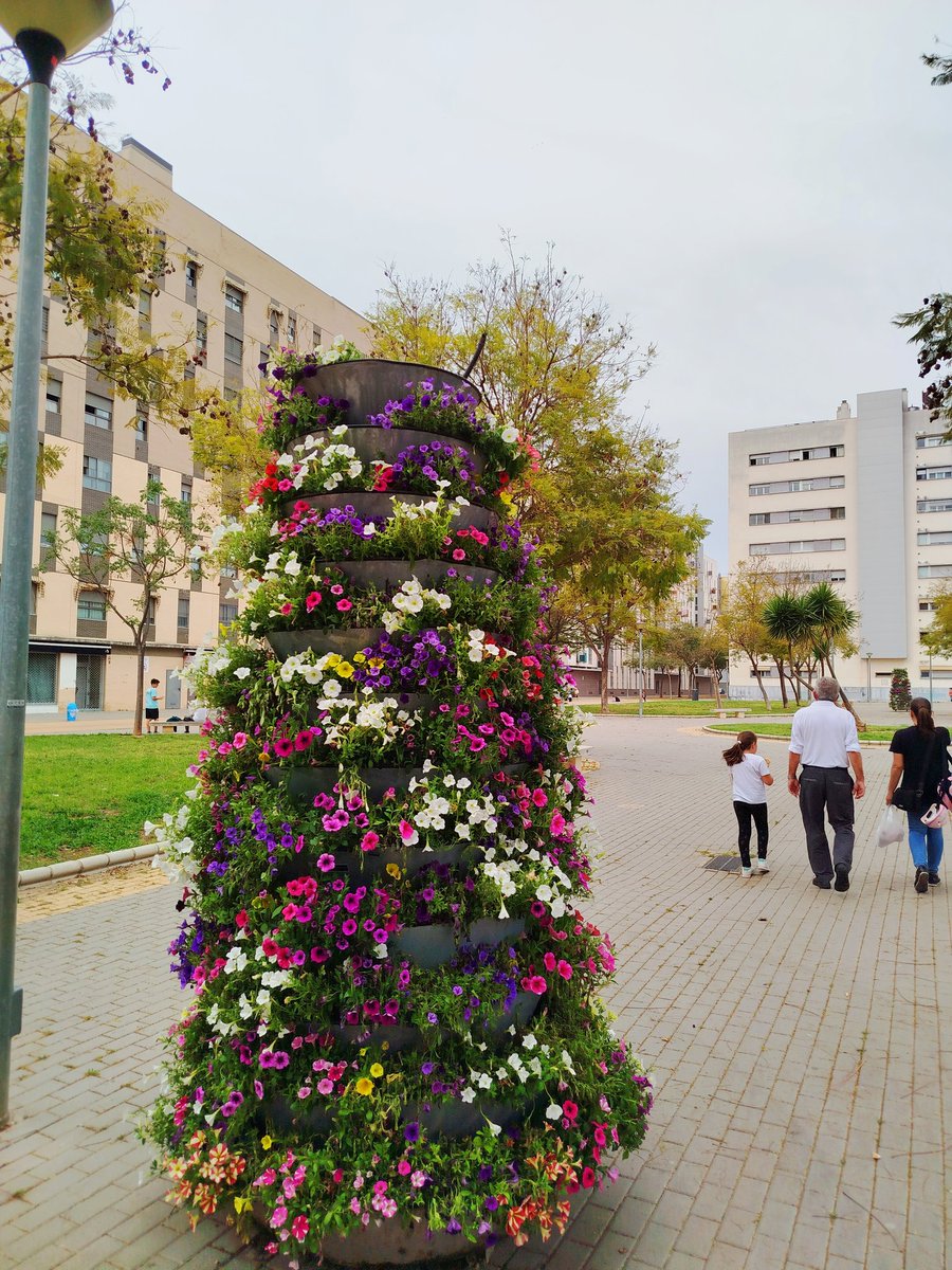 OtraSevillaEste's tweet photo. 🪦 RIP Maceteros 
Está mañana despedimos  a nuestros queridos maceteros,  durante semanas dieron vida y color
El @Ayto_Sevilla ha decidido que era hora de "pasaran a mejor vida"... y así ha sido
Gracias por tanto, perdón por tan poco riego. Que la tierra os sea leve
#SevillaEste https://t.co/qwuK0aijT9