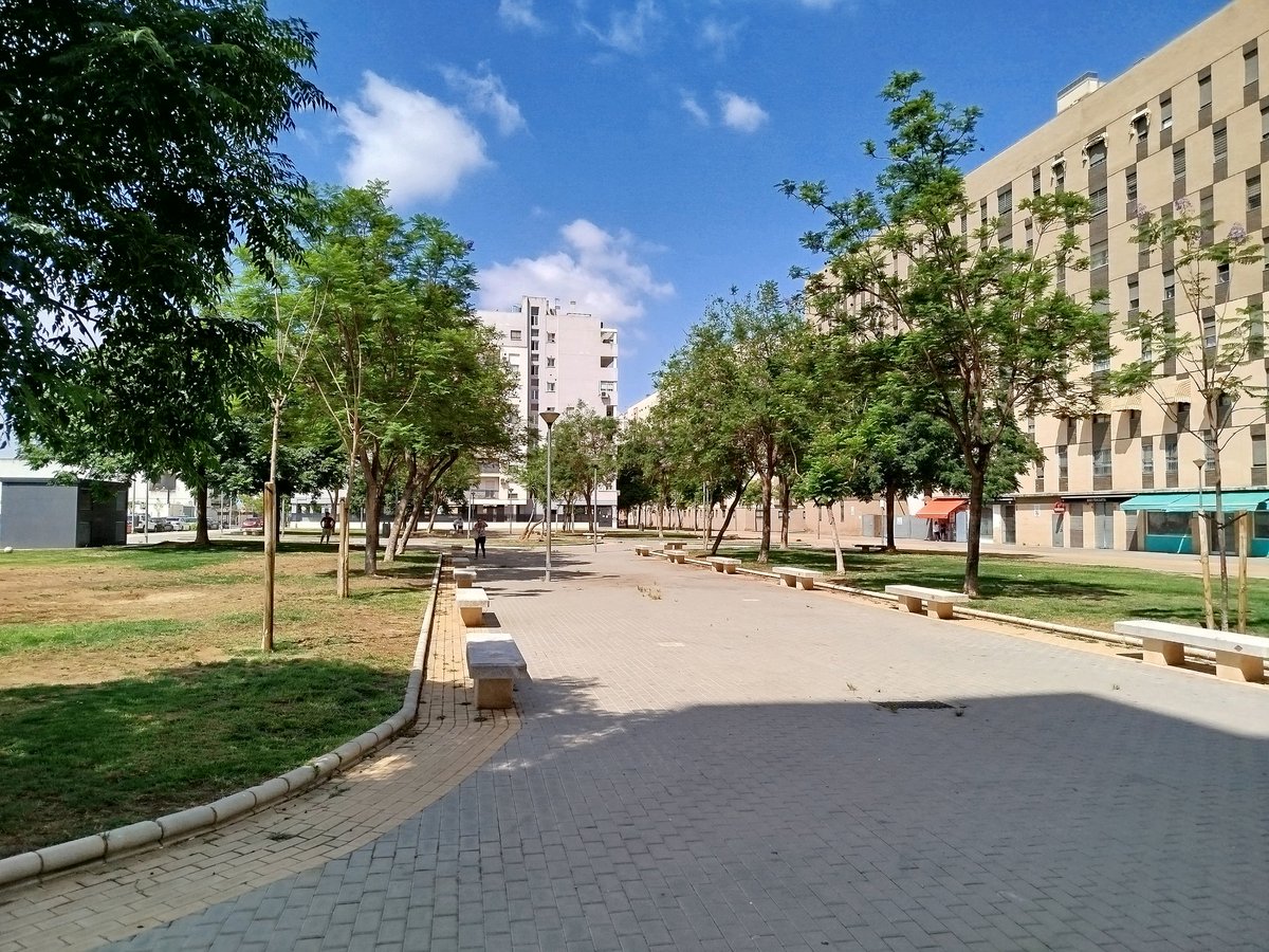 OtraSevillaEste's tweet photo. 🪦 RIP Maceteros 
Está mañana despedimos  a nuestros queridos maceteros,  durante semanas dieron vida y color
El @Ayto_Sevilla ha decidido que era hora de "pasaran a mejor vida"... y así ha sido
Gracias por tanto, perdón por tan poco riego. Que la tierra os sea leve
#SevillaEste https://t.co/qwuK0aijT9