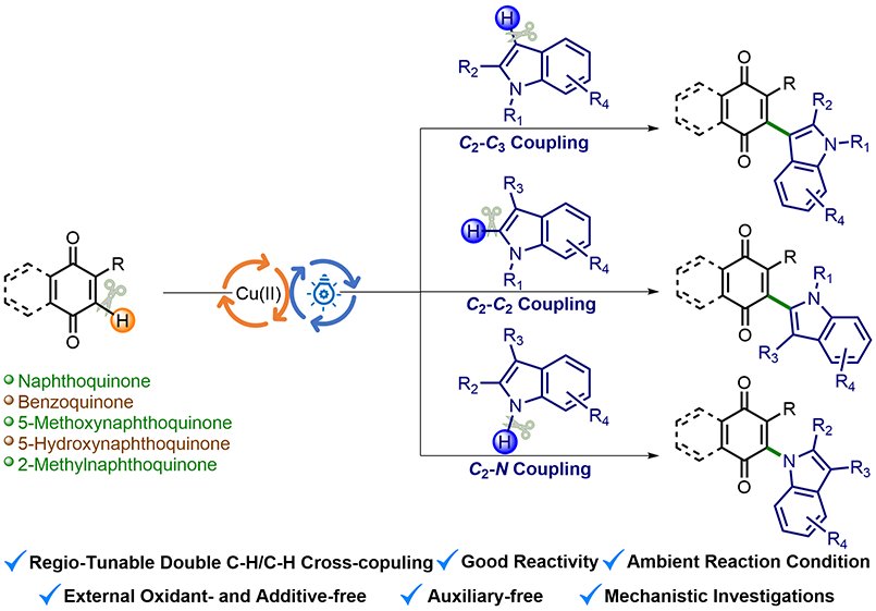 Organochalcogen Lab (@organochalcogen) on Twitter photo Our 100th Research Article on Cu(II) Catalyzed Blue Light Induced Synthesis of C2-Indolyl-1,4-naphthoquinones is now published in <a href="/JOC_OL/">J Org Chem/Org Lett</a> 🎉✨ Congrats to
<a href="/chhavi_J/">_ CHHAVI</a> <a href="/raushanjha2012/">Raushan Kumar Jha</a> <a href="/D2010205/">Devendra Parganiha 2010205</a> <a href="/SanhatiSharangi/">Sanhati Sharangi</a> &
<a href="/SangitK35711415/">Sangit Kumar</a>
<a href="/iiserbhopal/">IISER Bhopal</a> <a href="/LibraryIISERB/">Central Library IISER Bhopal</a>
doi.org/10.1021/acs.jo… Our 100th Research Article on Cu(II) Catalyzed Blue Light Induced Synthesis of C2-Indolyl-1,4-naphthoquinones is now published in <a href="/JOC_OL/">J Org Chem/Org Lett</a> 🎉✨ Congrats to
<a href="/chhavi_J/">_ CHHAVI</a> <a href="/raushanjha2012/">Raushan Kumar Jha</a> <a href="/D2010205/">Devendra Parganiha 2010205</a> <a href="/SanhatiSharangi/">Sanhati Sharangi</a> &
<a href="/SangitK35711415/">Sangit Kumar</a>
<a href="/iiserbhopal/">IISER Bhopal</a> <a href="/LibraryIISERB/">Central Library IISER Bhopal</a>
doi.org/10.1021/acs.jo…