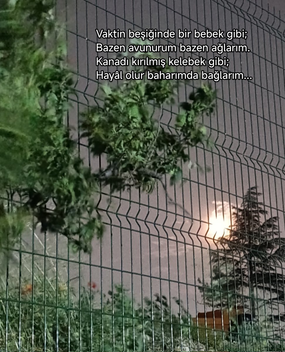 Tahsin Sağlam (@tahsinsaglam) on Twitter photo 