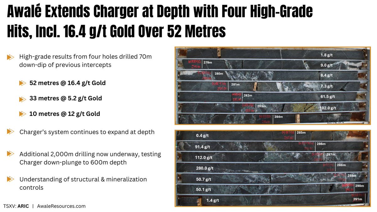 Awalé Extends Charger at Depth with Four High-Grade Hits, Including 16.4 g/t Gold Over 52 Metres

Full $ARIC.V News Release 👉 awaleresources.ca/2025/06/25/awa…