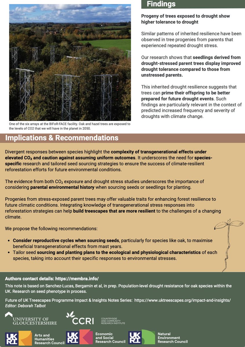 FutureTreesUK's tweet image. 🌱 Can trees pass resilience to their offspring? New research from Membra & @UK_Treescapes explores how environmental stress—like elevated CO₂ and drought—affects the next generation of trees.
uktreescapes.org/impact-and-ins…