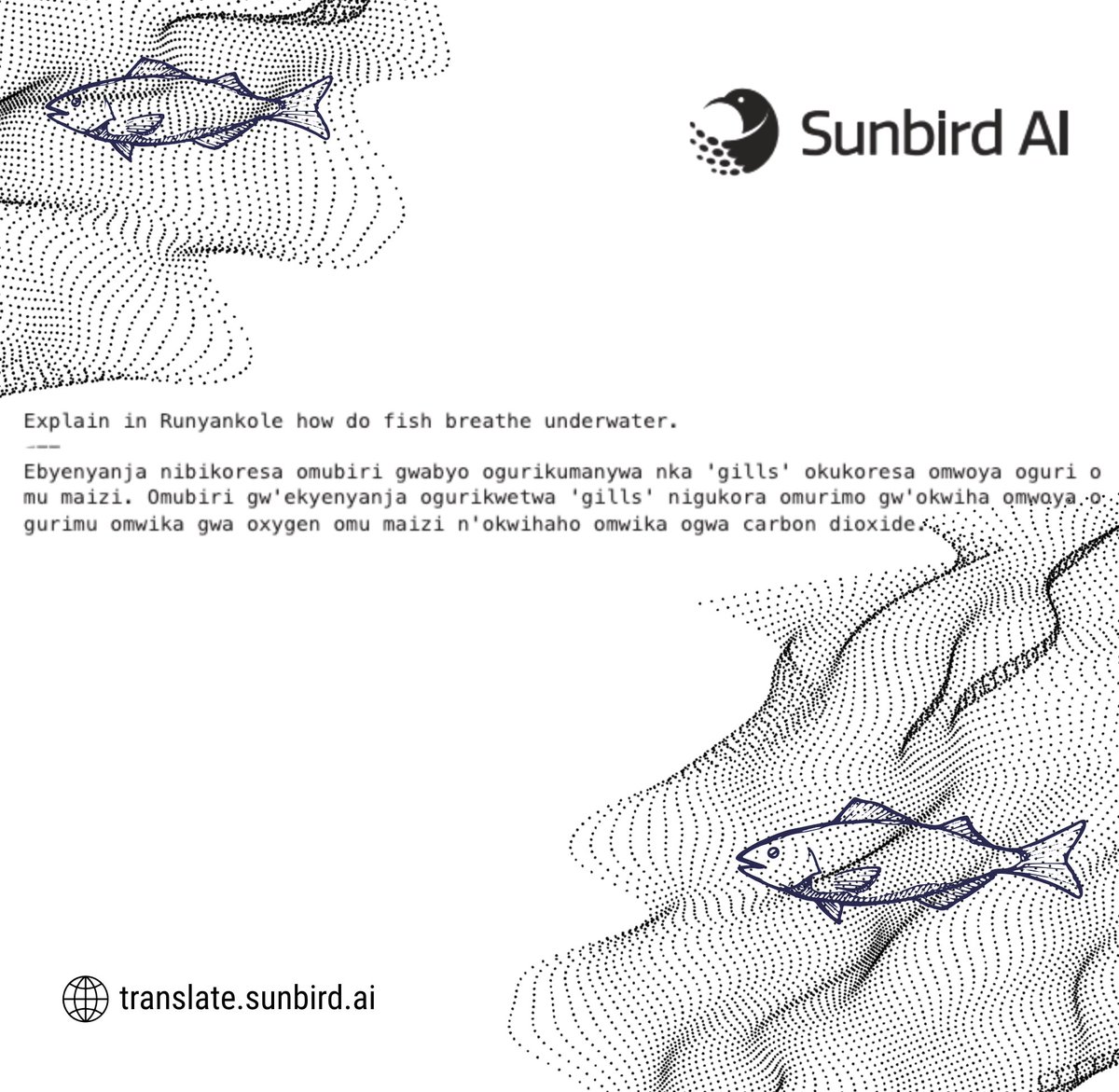 SunbirdAI's tweet image. Ever wondered how to explain how fish breathe, in Runyankole?
Our AI model-in-training knows how.
Because tech that speaks your language is tech that works for you.
#AiForSocialGood #SunbirdAI #InclusiveAI