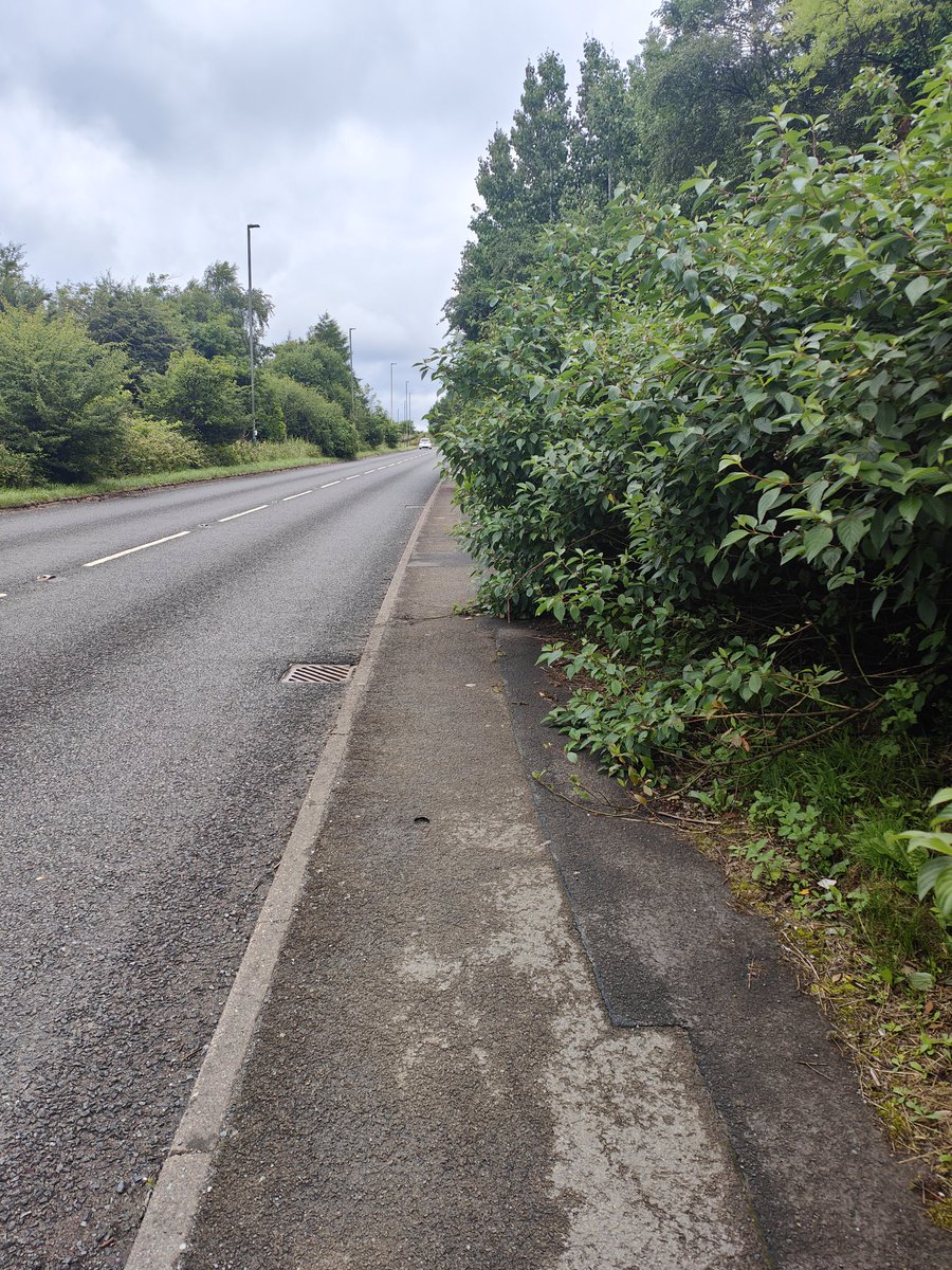 danjones1989's tweet photo. @CaerphillyCBC please can you cut these bushes back on parkway, Oakdale. Just below the BBI solutions factory. Pushing pedestrians into the carriageway. https://t.co/h92IjBwx82