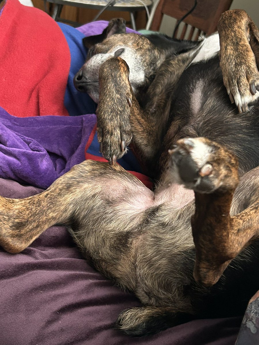 Wheels up Wednesday. Hope everybody has a chill day 😁
#WontLookWednesday