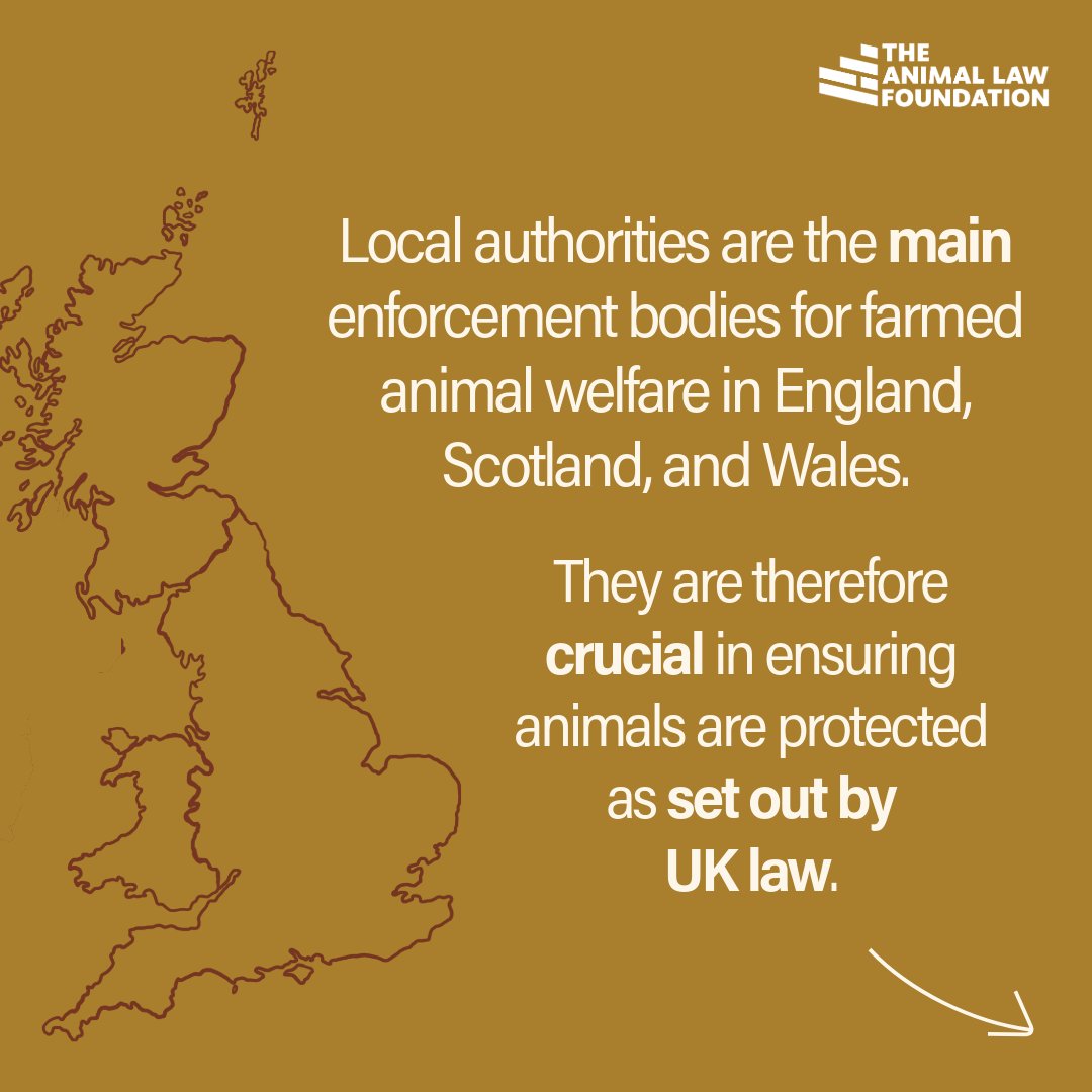 AnimallawFDN's tweet photo. As we discuss in #TheEnforcementProblem report, local authorities are the main enforcement bodies for farmed animal welfare in England, Scotland, and Wales and are therefore crucial in ensuring animals are protected as set out by UK law.

(2/5) https://t.co/eEpMecWnUF