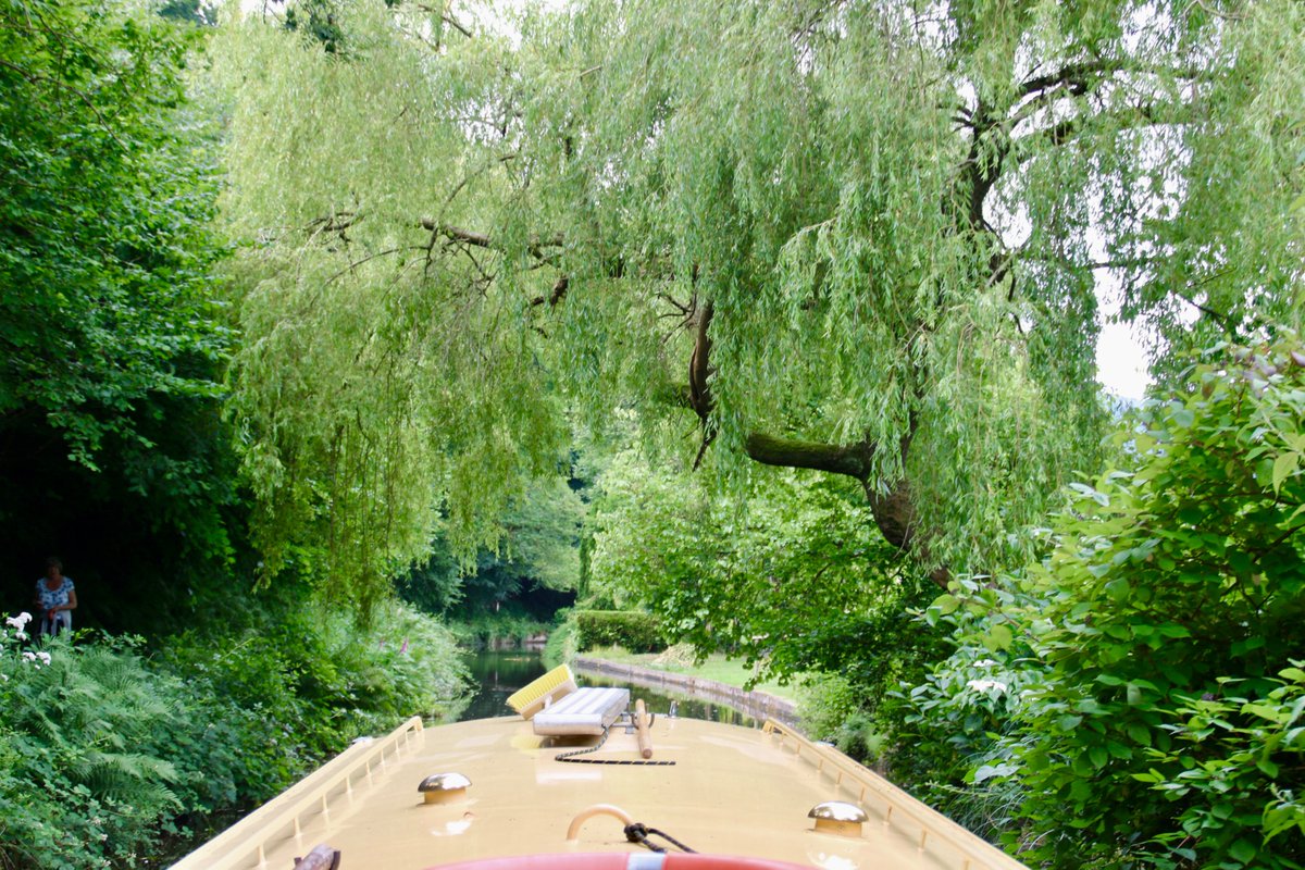What's not to love about #boating especially on the #MonandBrec canal #SouthWales, all refreshed and ready for work minus my phone as it sank into the silt. Already booked for next year #canals #sailing #nature #NatureTherapy