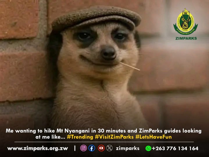 On a lighter note…