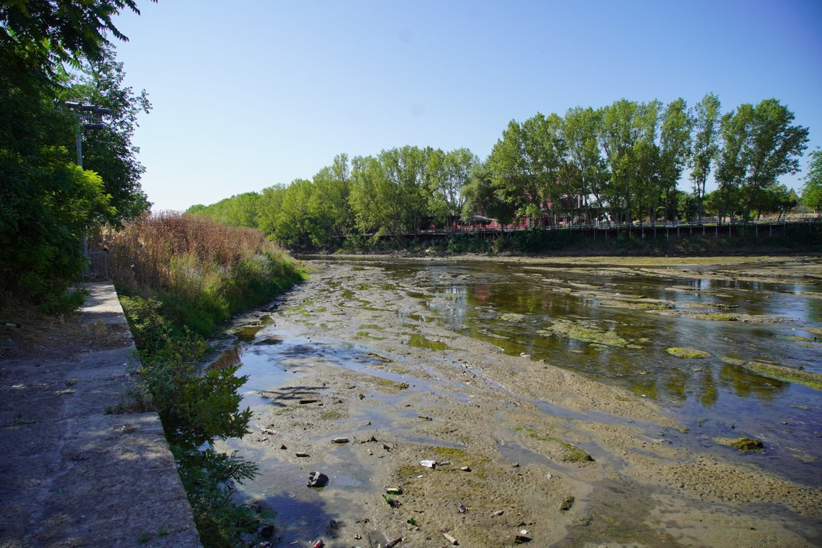 Su seviyesinin düşmesiyle nehre atılmış çöpler gün yüzüne çıktı. Belediyelere çağrımızdır:

1. Su seviyesi düşünce nehir yatağını temizleyin
2. Kıyı izleme ve denetim sistemi kurun
3. Çöp atana ceza kesin ve teşhir edin