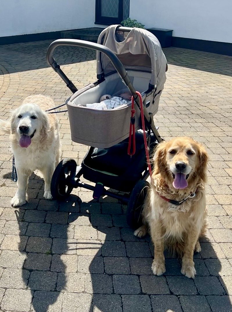 Monty & Maxx tweet media
