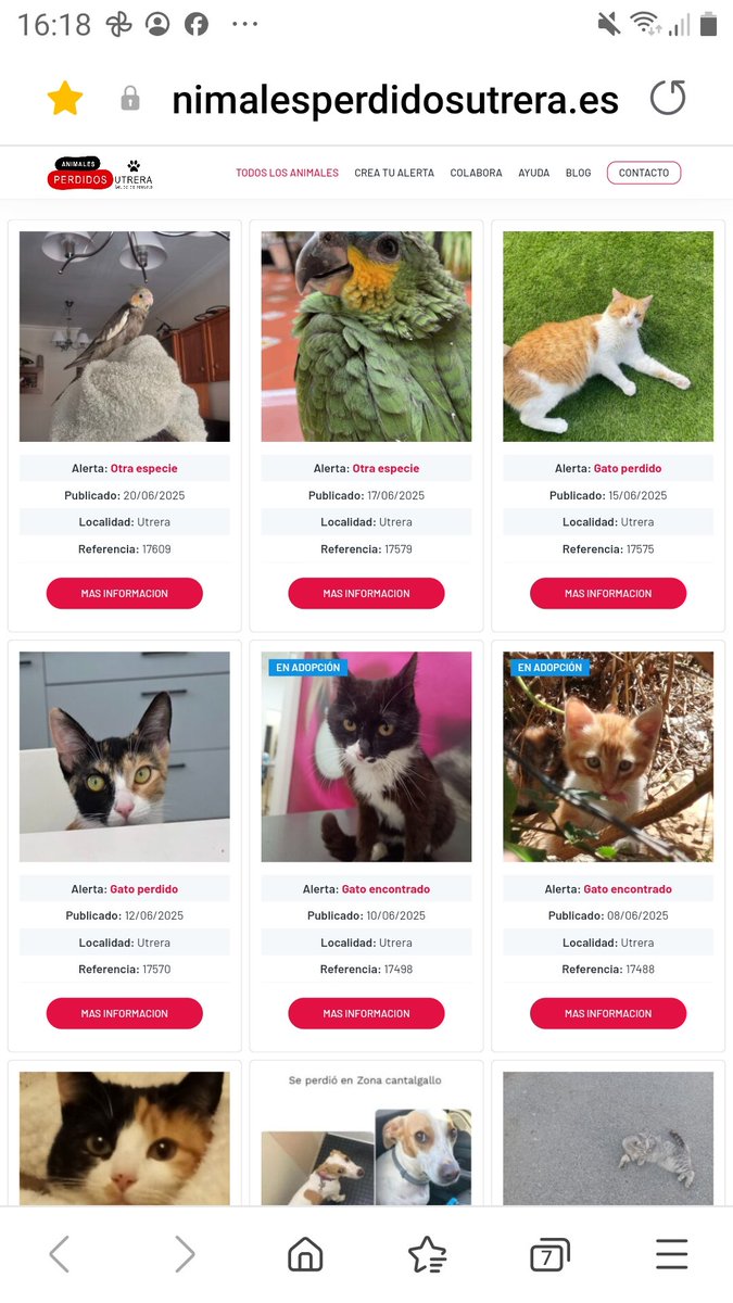 AnimalesU's tweet photo. Recuerda, si has perdido o encontrado un animal en #Utrera y sus pedanías, puedes consultar nuestra página web para ver los animales publicados o crear una alerta para avisar a la red de voluntarios. Pincha en siguiente enlace para acceder:   https://t.co/r8AaMpfSTP https://t.co/CRE9IqVBJX