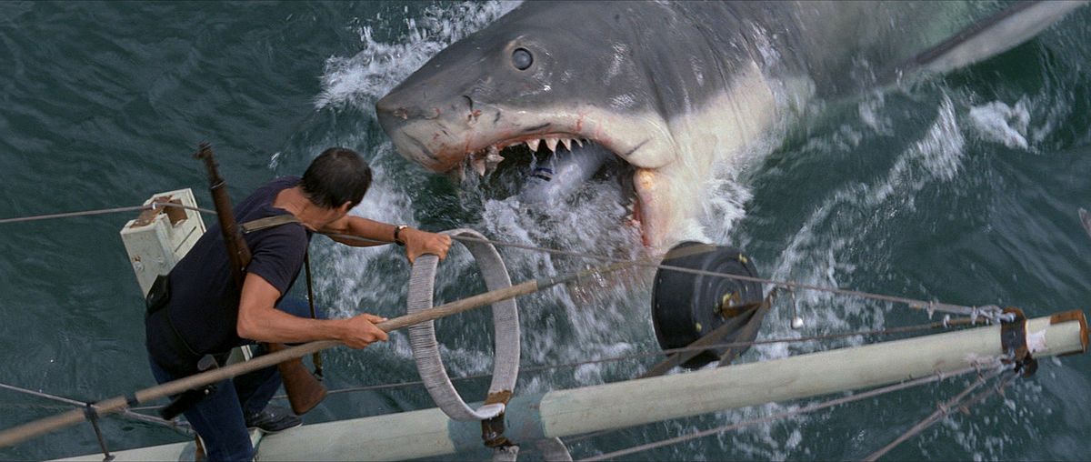 salteditions's tweet image. #PerfectFrame | Lo Squalo (Steven Spielberg, 1975)

Perché sono esattamente 50 anni che "You're gonna need a bigger boat!"

Tutti i #mercoledì pubblichiamo un frame particolarmente significativo per il #cinema e per noi.

#cinema 
#Jaws 
#StevenSpielberg