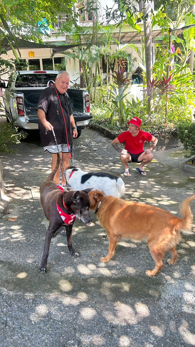 Jamie is the real hero of the story. Taking rescued dogs in and dogs who have severe illness just to give them a nice end to their life. A superstar. 

What a day for Big Mac 🥰🙏 (8/8)