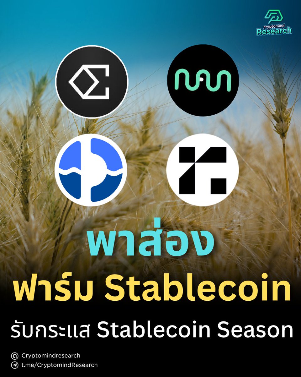 กระแส Stablecoin ตอนนี้กำลังมาแรงอย่างไม่หยุดหย่อน 🚀

ทั้งหุ้น Circle ที่พุ่งสูง หรือ ธนาคารยักษ์ใหญ่อย่าง JPMorgan ที่กำลังจะมี Stablecoin ของตัวเองก็แล้ว

วันนี้เราเลยจะพาไปดูฟาร์ม Stablecoin ที่น่าสนใจกัน ✨

👇