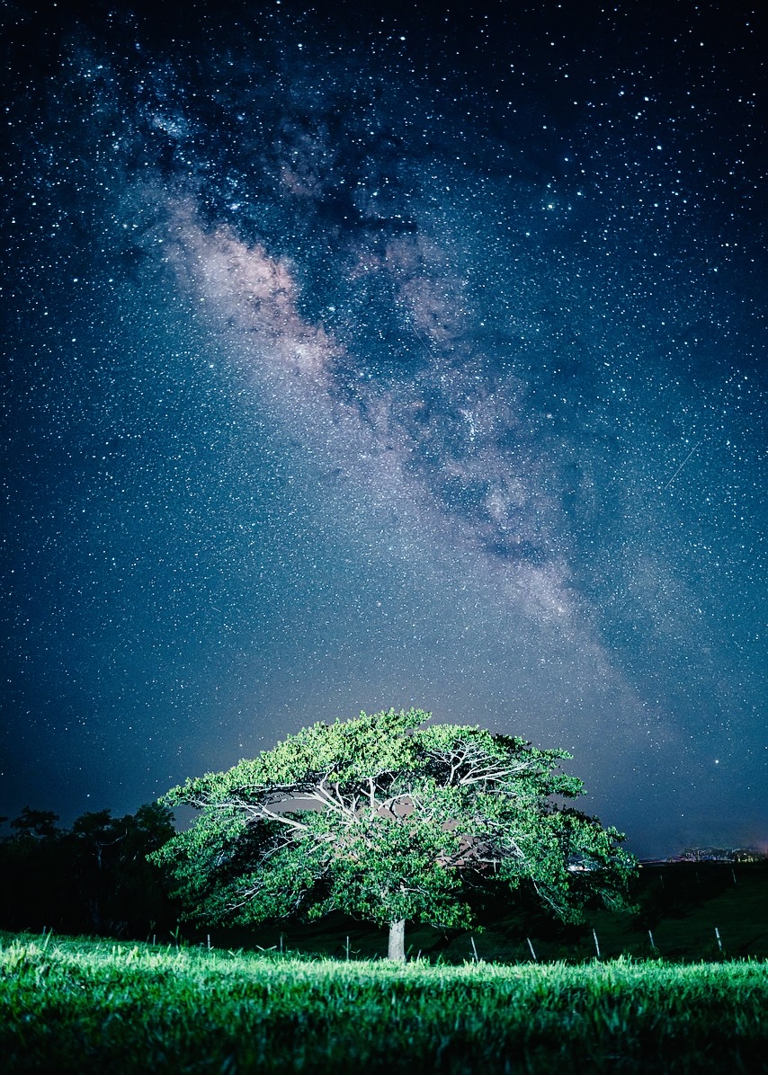 “To whom will you liken Me, or who is My equal?” asks the Holy One. Lift up your eyes on high: Who created all these? He leads forth the starry host by number; He calls each one by name. Because of His great power and mighty strength, not one of them is missing. (Isaiah 40:25-26)