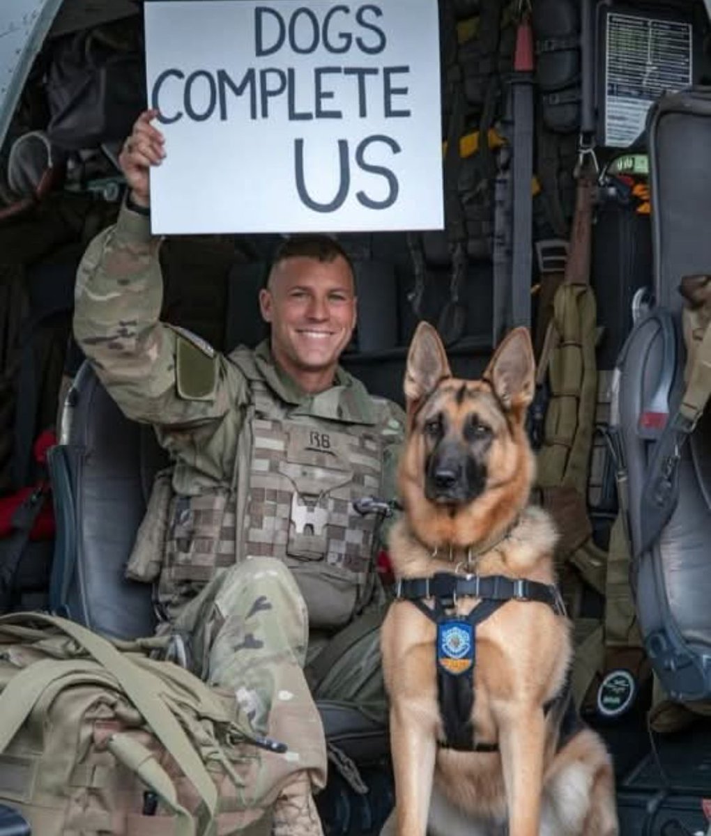 GSD_Fan_Club's tweet photo. DOGS COMPLETE US.... https://t.co/nJUNrBtC1K