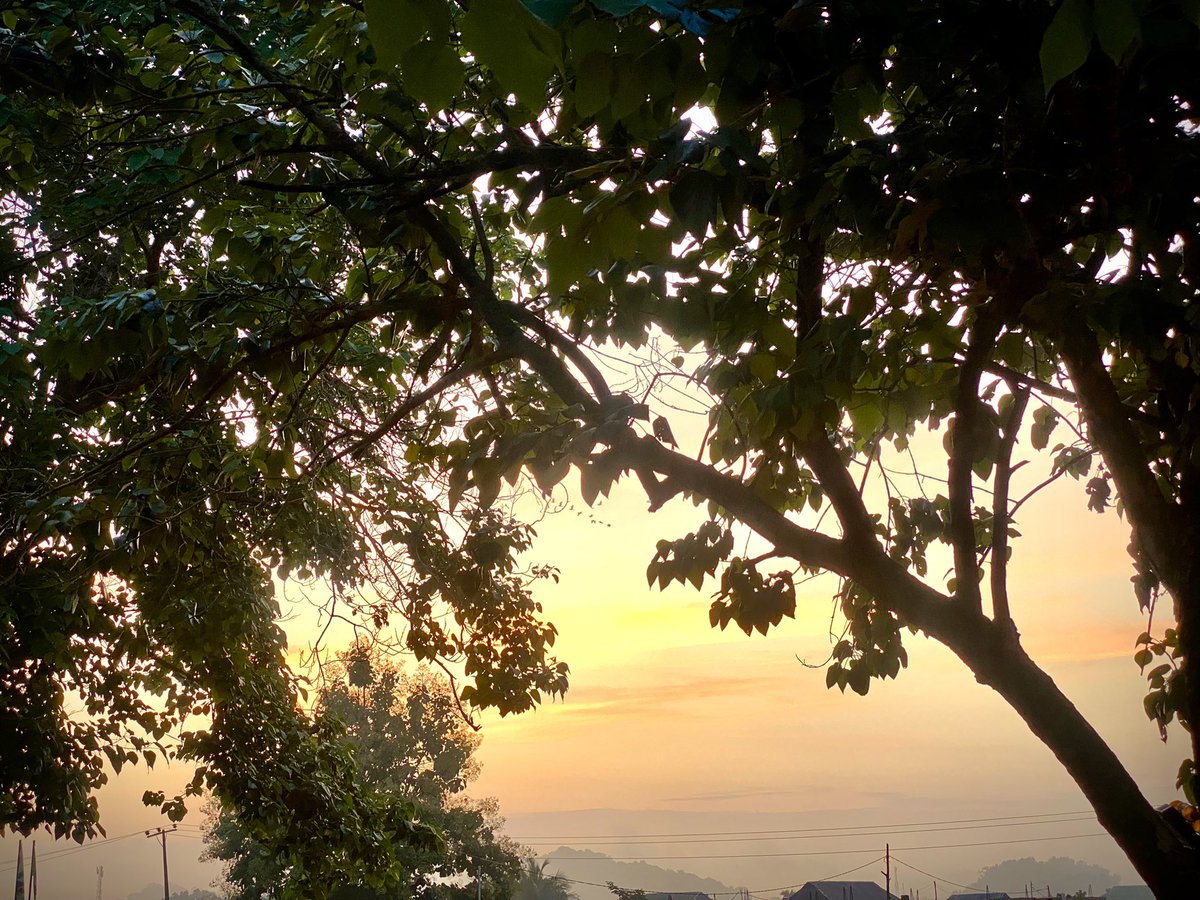 bellakollection's tweet photo. The view of the Sunrise is so heavenly ❤️‍🔥❤️‍🔥❤️‍🔥❤️‍🔥
Thank God for life 🍀💚🍀💚
Behold this beauty 💞💞💞
#IranVsIsrael 
#naturephoto 
#NatureTherapy 
#NaturePhotographer https://t.co/oOqx6byES8