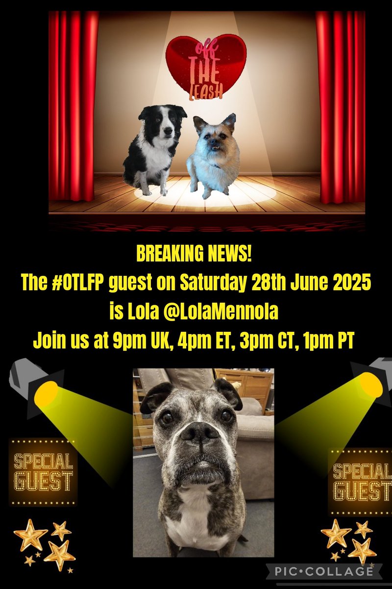 Pixie💔😭Millie💔Moose💔Fancy💔Wickett💔Stan😭 (@pixie_tooth) on Twitter photo Join us Saturday 4pm ET 3pm CT 2pm MT 1pm PT UK 9pm
Search & follow #OTLFP to join in all the fun! All are welcome! 😀
@snowby21
<a href="/good_pbgv/">Major Frankie & cousin Dottie PBGVs extraordinaire</a>
@trotterpossum
@sassytheminpin
<a href="/jackiewhitting5/">Rory 🐻 Missing all pals OTRB 🌈😢</a>
@margaretaugrad
@alansla90124663
@inokumaT
<a href="/tikamary1/">Diva & 😇Tika🌈</a> Join us Saturday 4pm ET 3pm CT 2pm MT 1pm PT UK 9pm
Search & follow #OTLFP to join in all the fun! All are welcome! 😀
@snowby21
<a href="/good_pbgv/">Major Frankie & cousin Dottie PBGVs extraordinaire</a>
@trotterpossum
@sassytheminpin
<a href="/jackiewhitting5/">Rory 🐻 Missing all pals OTRB 🌈😢</a>
@margaretaugrad
@alansla90124663
@inokumaT
<a href="/tikamary1/">Diva & 😇Tika🌈</a>