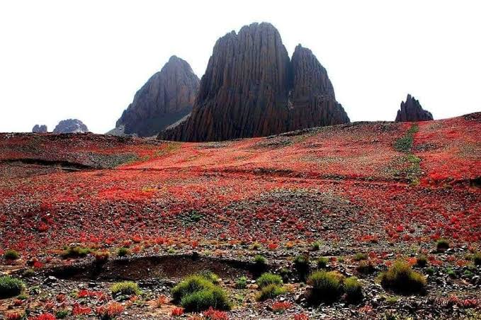mountain Asskerem
In the city of Tamanrasset