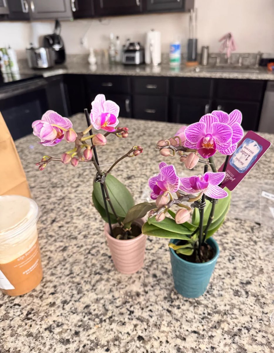 krithigakritana's tweet photo. In the morning, I went to my wicked uncle and grandmother to get flowers.💐💐
I filled all the vases in my house with them❤️❤️ https://t.co/hHFM1MKU78