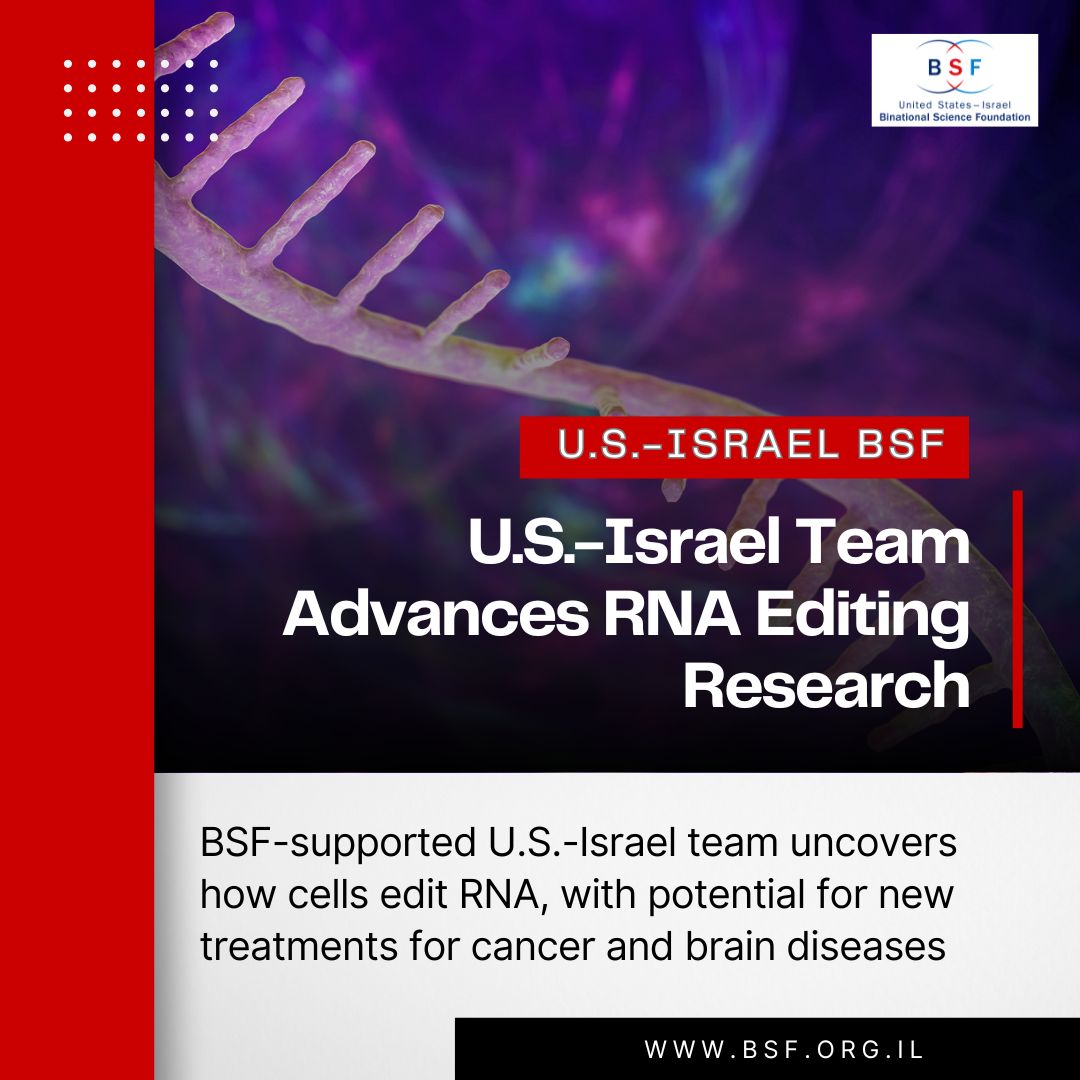 usisraelbsf's tweet image. What if treating disease means fixing RNA “typos” instead of rewriting genes?
U.S.-Israel BSF collaborators Prof. Ayelet Lamm (@TechnionLive) & Dr. Heather Hundley (@IUBloomington) show RNA editing is precise & could be guided to prevent disease.
🔗 pubmed.ncbi.nlm.nih.gov/39036970/